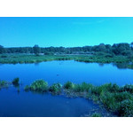 PICTURES FROM THIS PHONE