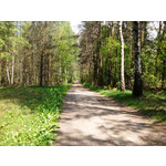 FOTO'S VAN DEZE TELEFOON