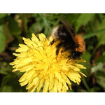 LAS FOTOS HECHAS CON ESTE TELÉFONO