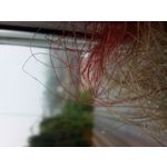 FOTO FATTE CON QUESTO TELEFONO