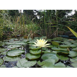 来自这款手机的图片