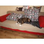 FOTO'S VAN DEZE TELEFOON