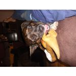 FOTO'S VAN DEZE TELEFOON