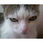 FOTO FATTE CON QUESTO TELEFONO