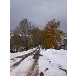 来自这款手机的图片