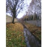 FOTO FATTE CON QUESTO TELEFONO