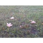 来自这款手机的图片