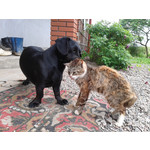 Pictures by this phone Samsung GT-S5610 Pictures by this phone Samsung GT-S5610