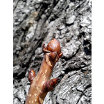 Pictures by this phone Samsung GT-S5610 Pictures by this phone Samsung GT-S5610