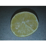 Pictures by this phone Samsung GT-S5610 Pictures by this phone Samsung GT-S5610