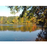 来自这款手机的图片