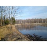 來自這款手機的圖片