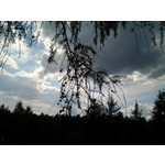 來自這款手機的圖片