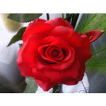 Les photos des utilisateurs Samsung GT-S7220 Ultra