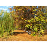 Les photos des utilisateurs Samsung GT-S7220 Ultra