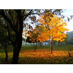 Les photos des utilisateurs Samsung GT-S7220 Ultra