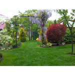 Les photos des utilisateurs Samsung GT-S7220 Ultra