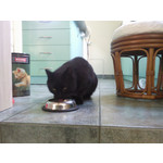 Les photos des utilisateurs Samsung GT-S7220 Ultra