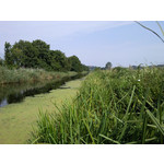 Les photos des utilisateurs Samsung GT-S7220 Ultra