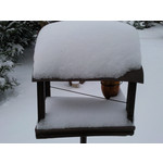 Les photos des utilisateurs Samsung GT-S7220 Ultra