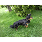 Les photos des utilisateurs Samsung GT-S7220 Ultra