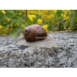 Les photos des utilisateurs Samsung GT-S7220 Ultra