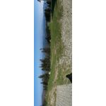 ФОТКИ СНЯТЫЕ ДАННЫМ МОБИЛЬНИКОМ