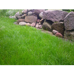 LAS FOTOS HECHAS CON ESTE TELÉFONO