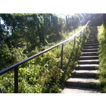 LAS FOTOS HECHAS CON ESTE TELÉFONO