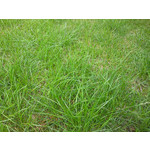 Selbst von Nutzern gemachte Bilder Samsung GT-S8000 Cubic