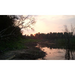 Pictures by this phone Samsung GT-S8500 Wave