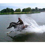 Pictures by this phone Samsung GT-S8500 Wave