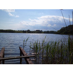 Pictures by this phone Samsung GT-S8500 Wave