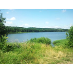 来自这款手机的图片