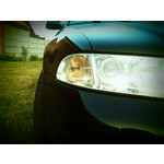 来自这款手机的图片