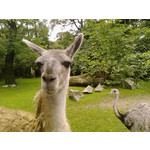 FOTO'S VAN DEZE TELEFOON