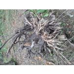 ФОТКИ СНЯТЫЕ ДАННЫМ МОБИЛЬНИКОМ