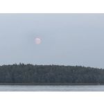 Selbst von Nutzern gemachte Bilder Samsung Galaxy Z Fold7