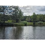 Selbst von Nutzern gemachte Bilder Samsung Galaxy Z Fold7