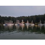 Selbst von Nutzern gemachte Bilder Samsung Galaxy Z Fold7