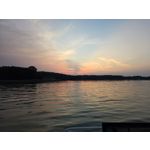 Selbst von Nutzern gemachte Bilder Samsung Galaxy Z Fold7