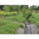 Selbst von Nutzern gemachte Bilder Samsung Galaxy Z Fold7