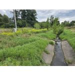 Selbst von Nutzern gemachte Bilder Samsung Galaxy Z Fold7