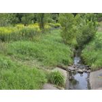 Selbst von Nutzern gemachte Bilder Samsung Galaxy Z Fold7