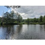 Selbst von Nutzern gemachte Bilder Samsung Galaxy Z Fold7