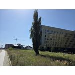 Selbst von Nutzern gemachte Bilder Samsung Galaxy Z Fold7