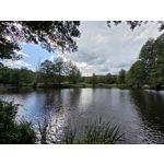 Selbst von Nutzern gemachte Bilder Samsung Galaxy Z Fold7