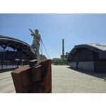 Selbst von Nutzern gemachte Bilder Samsung Galaxy Z Fold7