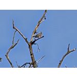 Selbst von Nutzern gemachte Bilder Samsung Galaxy Z Fold7