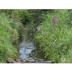 Selbst von Nutzern gemachte Bilder Samsung Galaxy Z Fold7